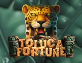 Toluca Fortune NSoft